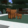 Minecraft photo 6