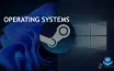 Windows 11 Market Share on Steam Declines to 45.81% in July 2024