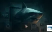 What is Shark007 Advanced Codecs?