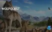 WolfQuest: 17 лет успешного развития и преданной аудитории