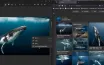 Windows 11 Snipping Tool Adds Visual Search Feature