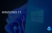 Windows 11 Adoption Surges to 72.57% by February 2026