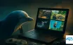 Top Games Compatible with Dolphin Emulator