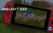 Nintendo Switch Minecraft Update Expands World Creation with New Seeds
