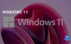 Почти 30% ПК на Windows теперь работают на Windows 11