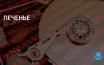 Google обновляет политику использования данных для улучшения сервисов