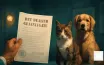 Explore Pet Health Certificates