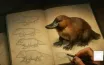 How to Draw a Realistic Platypus