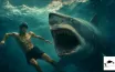 Do Bull Sharks Attack Swimmers?