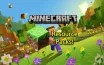 Understanding the Business of Minecraft Resource Packs