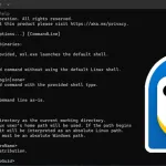 Windows Subsystem for Linux (WSL) photo 2