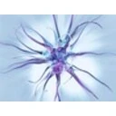 Living Glass Screensaver