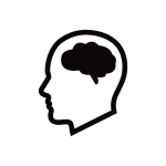 Brain Workout