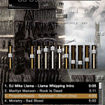 Two Towers Winamp Skin