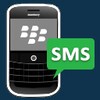 Blackberry Mobile Messaging Program