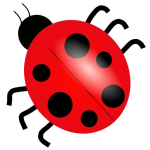 Rounded Bugs Ex