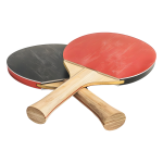 Table Tennis Pro