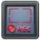 Any Video Recorder