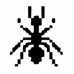 12-ants