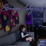 Strange Labyrinth