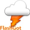 FlashGot