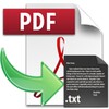 PDF to Text