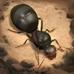 The Ants (GameLoop)