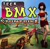 Teen BMX Stunt Bike