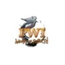 Perfect World International