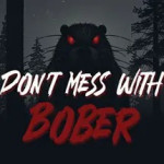 Don't Mess With Bober