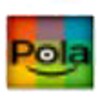 Pola