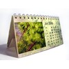 TKexe Kalender