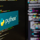 Python photo 1