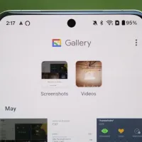 Google Gallery Offers Seamless Offline Image Management
