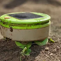 Seedtime Transforms Gardening with AI-Powered Scheduling