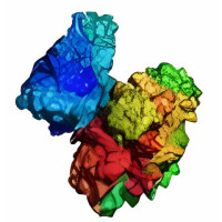 PyMOL