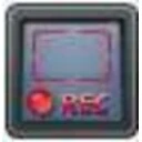 Any Video Recorder