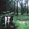 P.T. for PC