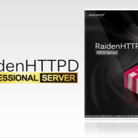 RaidenHTTPD