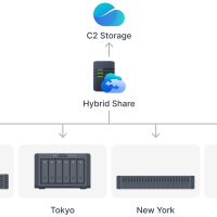 Hybrid Share