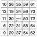 Bingo Caller