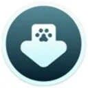 VidPaw