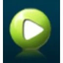Any FLV Player