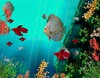 Coral Reef Aquarium 3D Animated Wallpaper