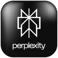 Perplexity