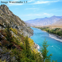 Image Watermarks