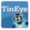 TinEye Reverse Image Search