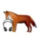 FoxPlayer