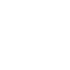 DataEcho