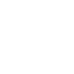 HammerHead